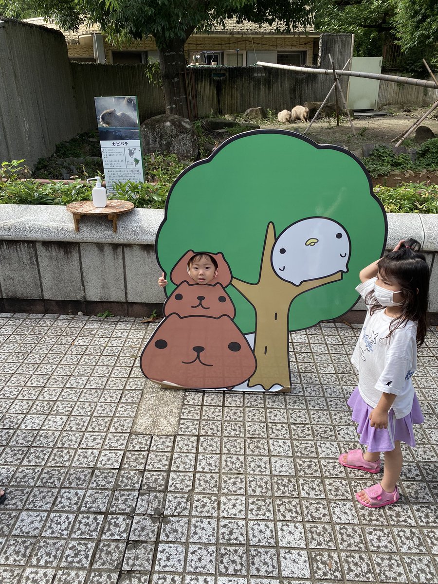 k5y2m6 tweet picture