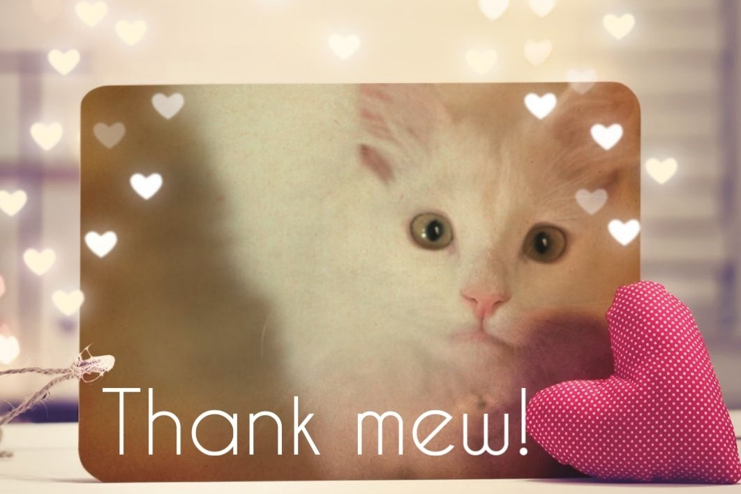 TeamDippyGaming's tweet photo. WE HAVE REACHED $600!
Thank mew to everyone who has donated so far!
Can we reach $700 for the #su2cstreamteam 🙀
Pwease try and help us on the final day!
#TeamDippyGaming #HouseMafia #ToxicShatter #SU2C https://t.co/HFYERNIWcE