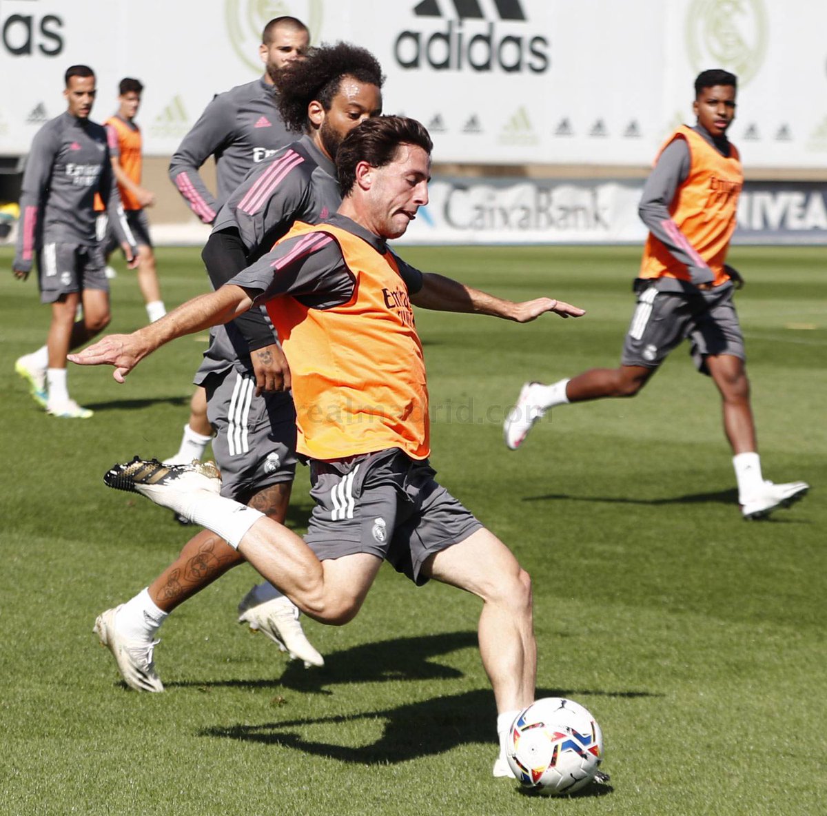 محمود مجيد tweet media