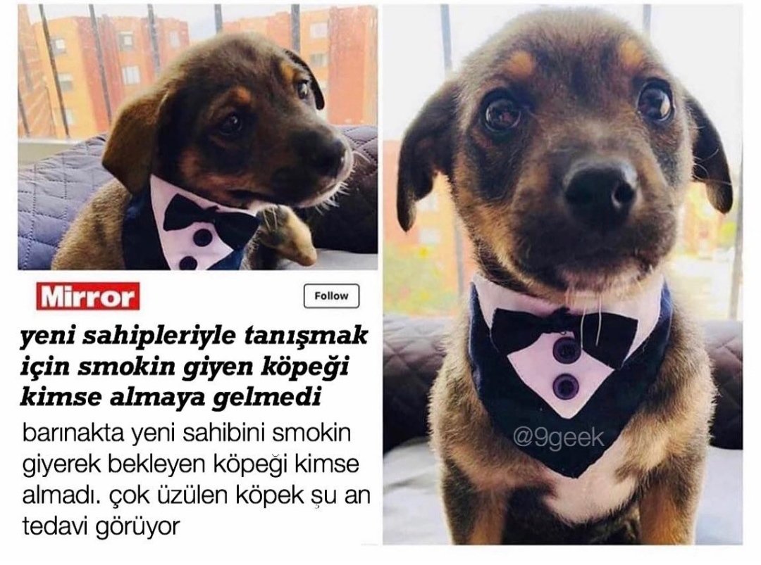 TaskitHalil's tweet image. İş basvurularim birer birer reddedilirken