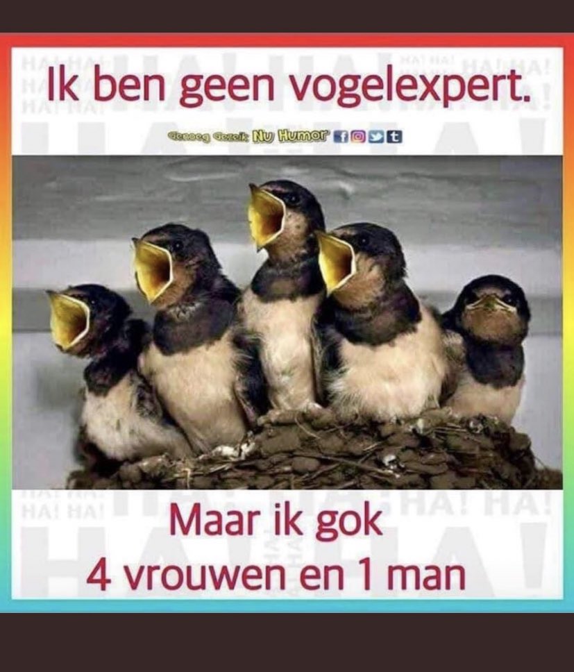 Begrijp ik nou goed dat al twee dagen de pleuris hier losbreekt om deze foto?

Hahahahaha

DOE. NORMAAL. MENSEN. 

Echt. Doe normaal.