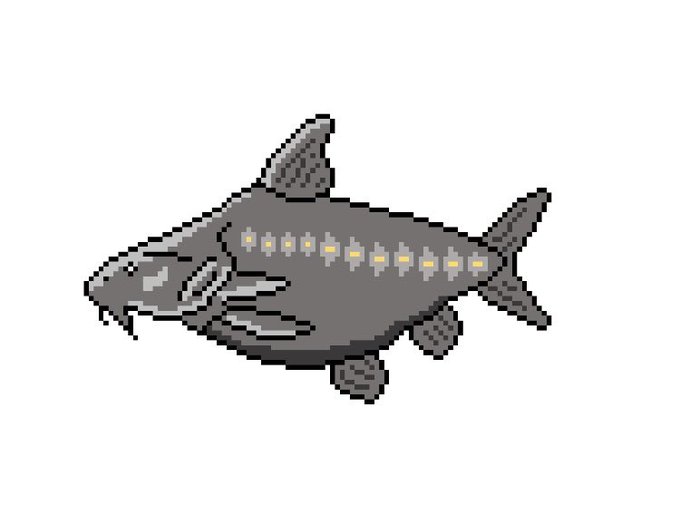 コリドラスのtwitterイラスト検索結果 古い順