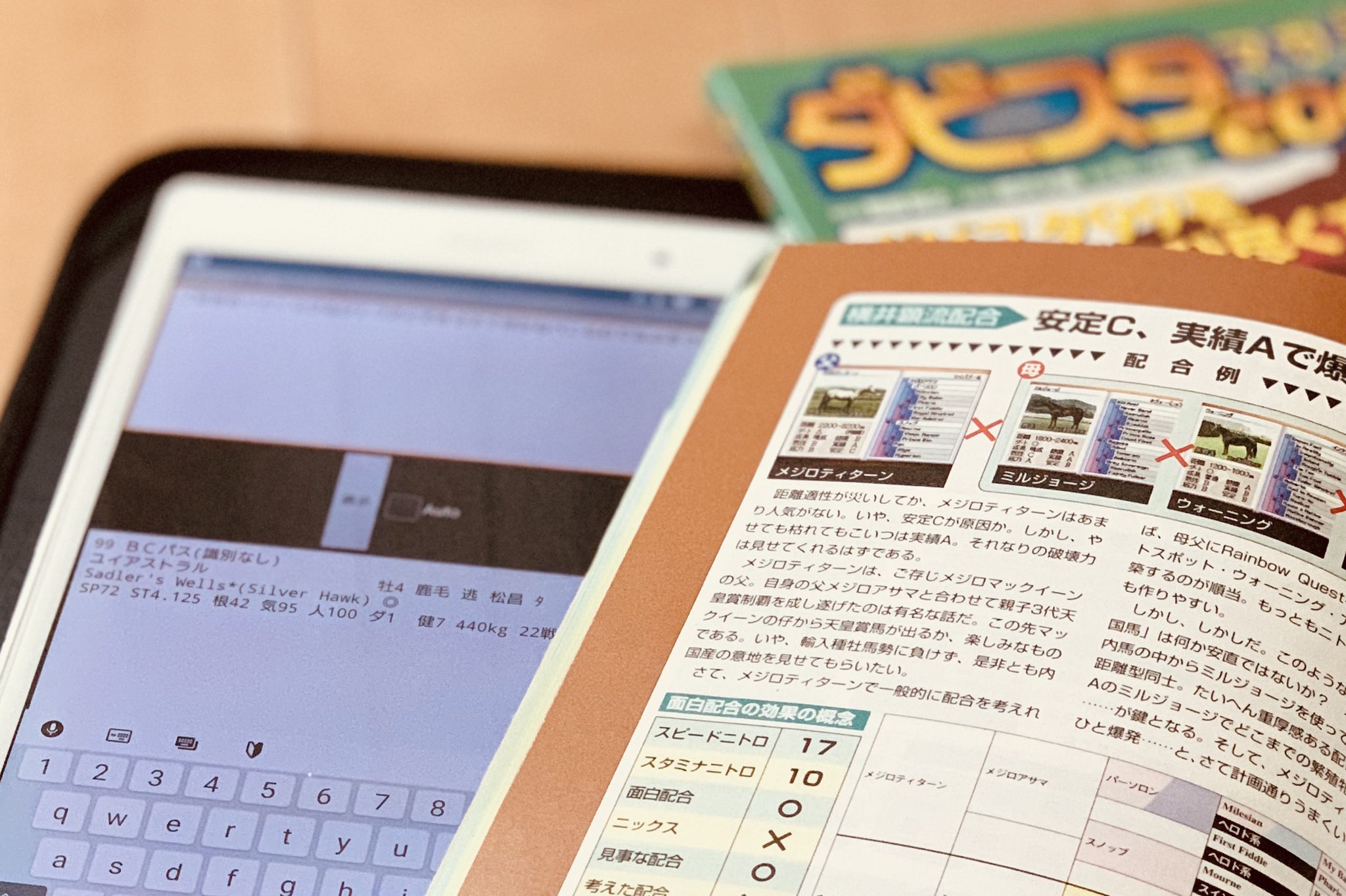توییتر Yui در توییتر これにて 準 最強馬生産はひとまず完 実は今回 能力の判定にandroidアプリでのbcパス解析を使ってみた また 当時流行ったダビスタマガジンでのホー 爺や横 顕さんの配合バトル記事みたいなこともtwitterでできて 楽しかった ホント