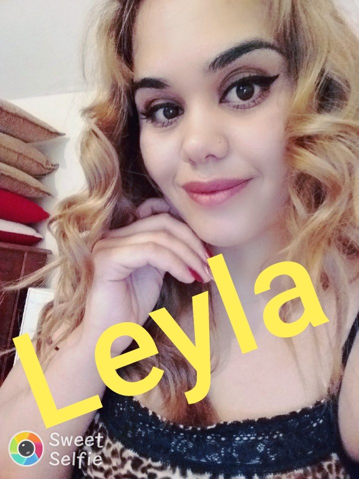 Funda07375569's tweet photo. #seks #porno #sikiş #beylikdüzü #avcılar #Bahçeşehir #Bakırköy  #Şirinevler #türbanlı #fantezi #ifşatürk #selam #seksikızlar whatsapp 
0545 653 82 96 https://t.co/jpcWMpYVMt