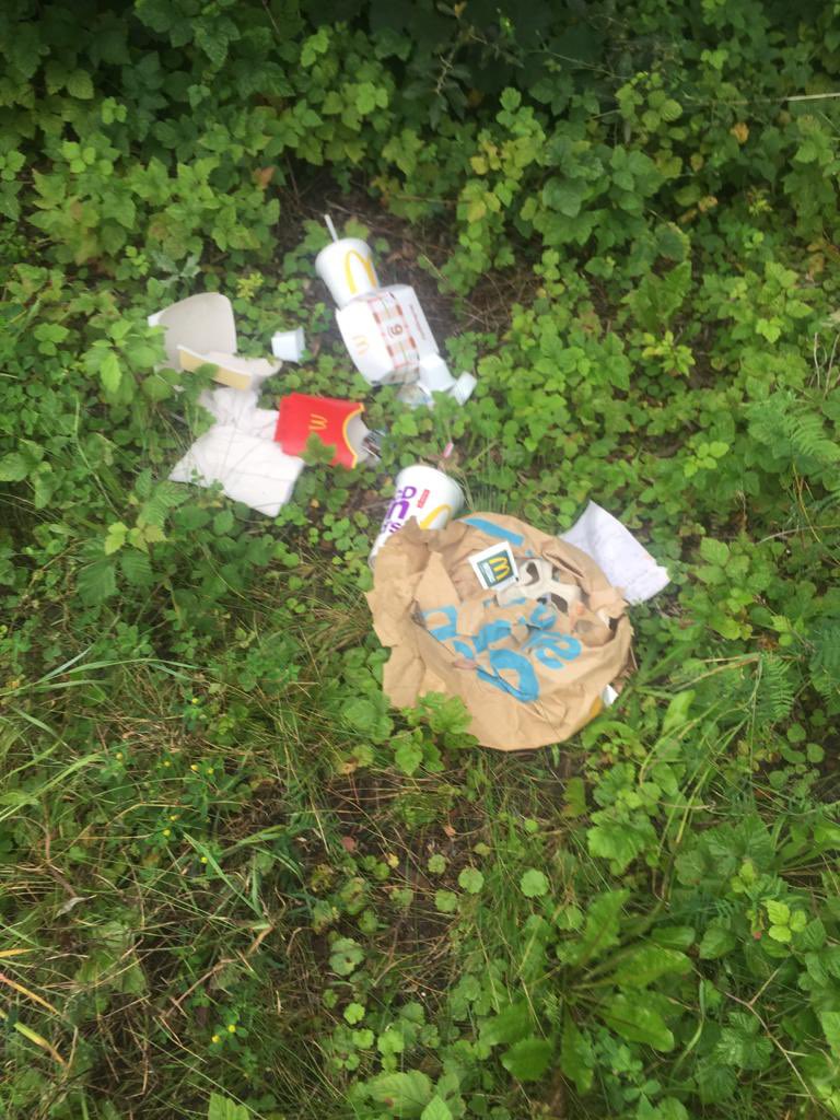 Jaklien van Melick tweet media