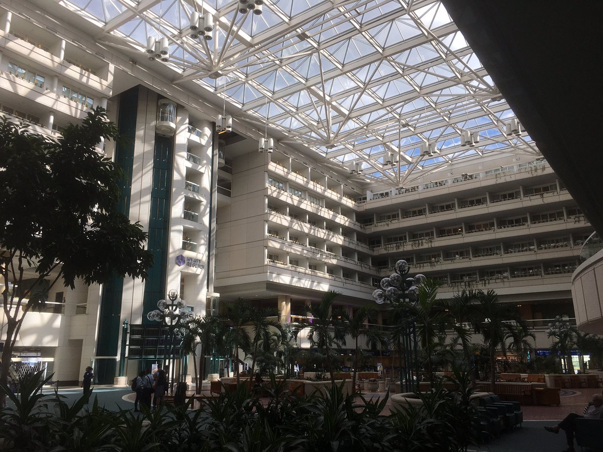 DubDeeDubRevue's tweet photo. Not a bad photo of the coolest indoor airport courtyard if we do say so ourselves!  What do you think @MCO ? https://t.co/dQKWS3k9Gt