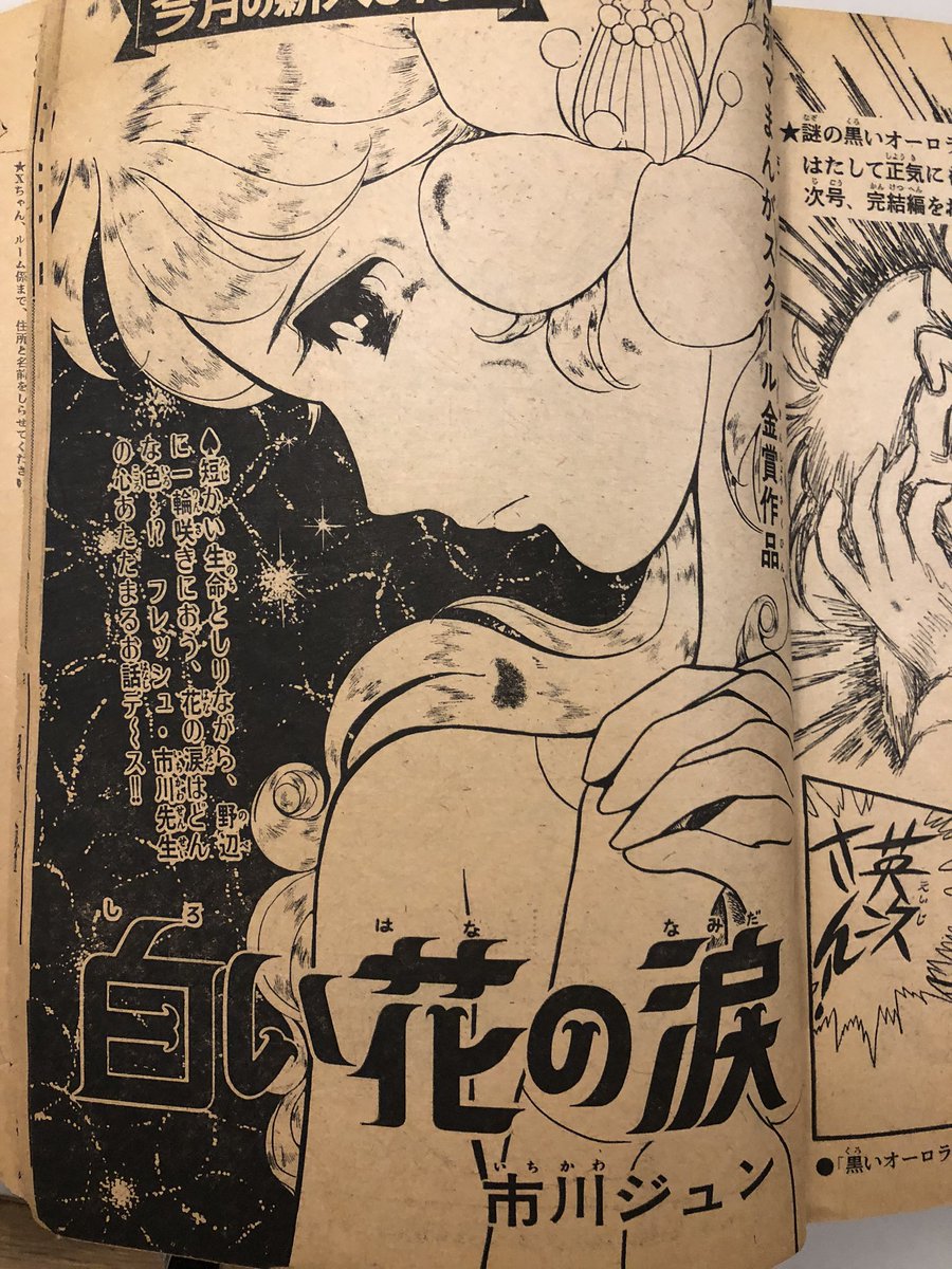 きたがわ翔 確かに Z