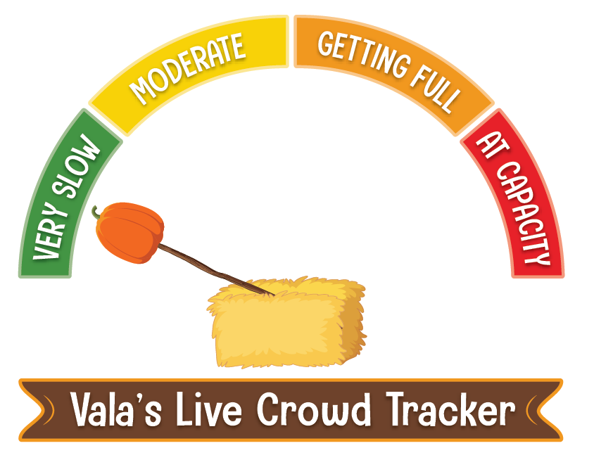 Slow start to the morning at Vala's! Visit us today to take advantage of our LAST DAY of reduced September weekend admission pricing! #valaspumpkinpatch