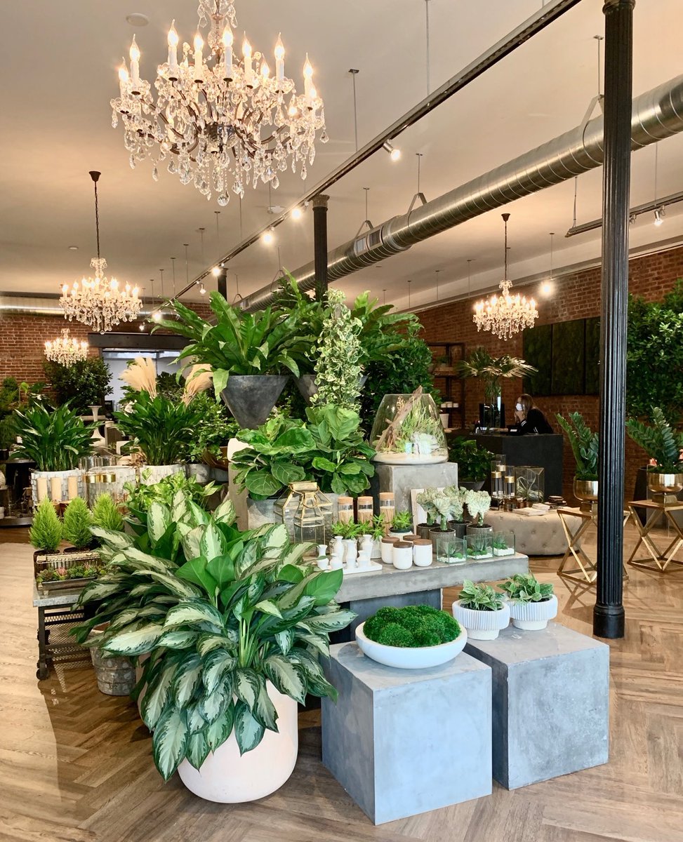 Tomorrow our  Summit, NJ store will have been open for two weeks–have you dropped by to see us yet? 👋 Find us at 434 Springfield Avenue, right downtown. Our store hours are Monday-Saturday, 10am-5pm. ⁠