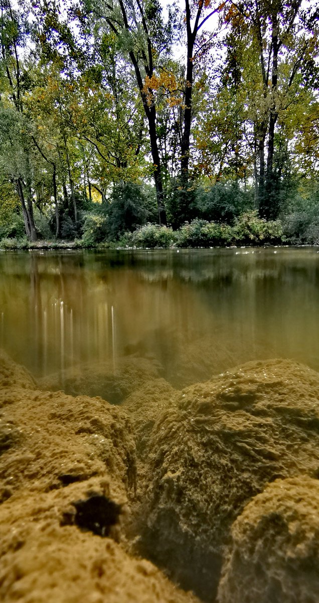 HuberRob's tweet image. A different perspective of the Thames #AntlerRiverRace @H2OAlliance