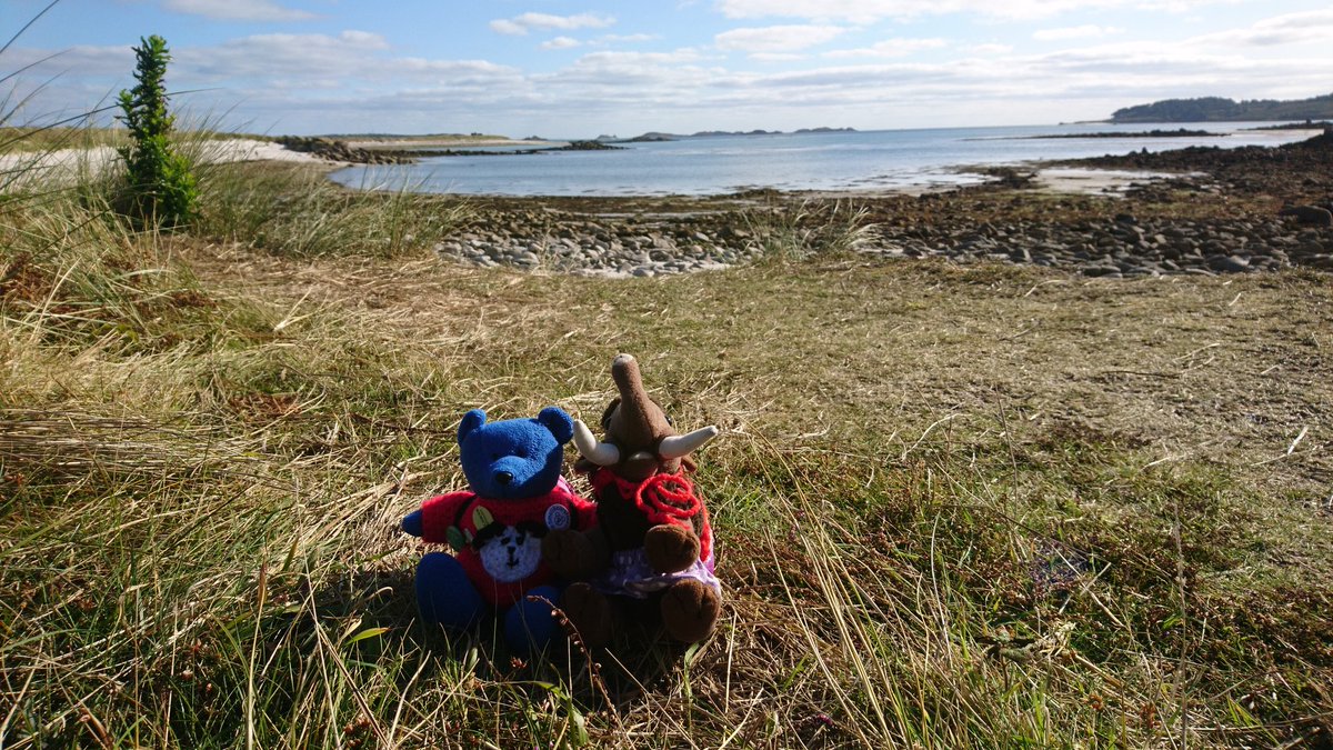 RedditchMammoth's tweet photo. We've had amazing day in #Tresco! We went to the @EnglishHeritage sites, walked on the beach, did some #geocaching and found PUB! Beer was needed to treat sore paws. 🐾 🍻 #Scillybears #smallbearslovehistory #sorepaws #smallbearsneedbeer #ScillyIsles https://t.co/xy1029yVwB