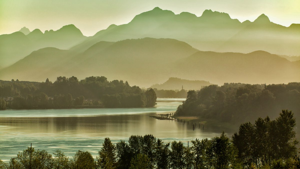 bing photo