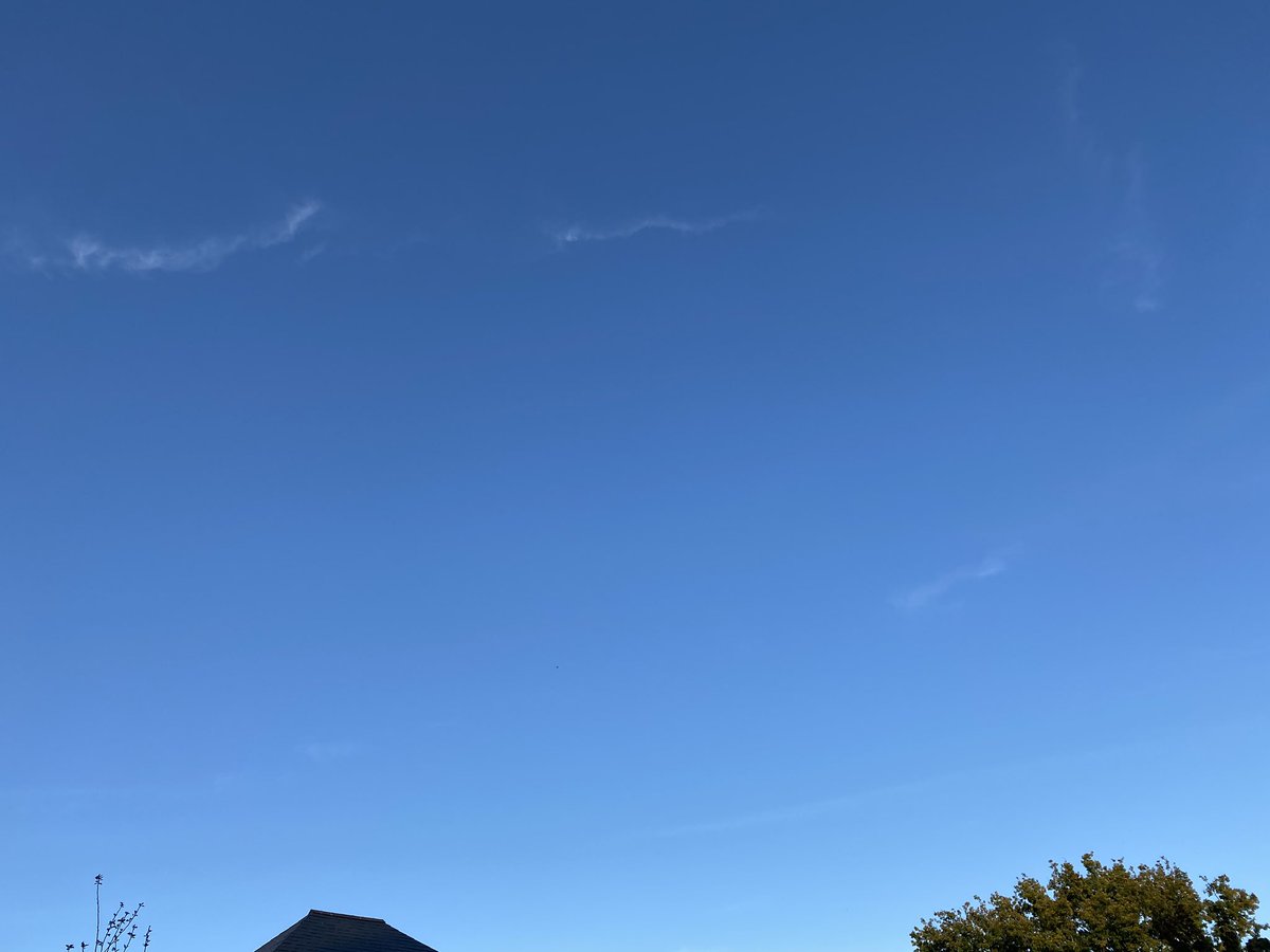 1stWilmslowCubs's tweet image. After a busy day online training #module8 #module9 @CheshireScouts, time for a little blue sky thinking and campfire #ONW2020