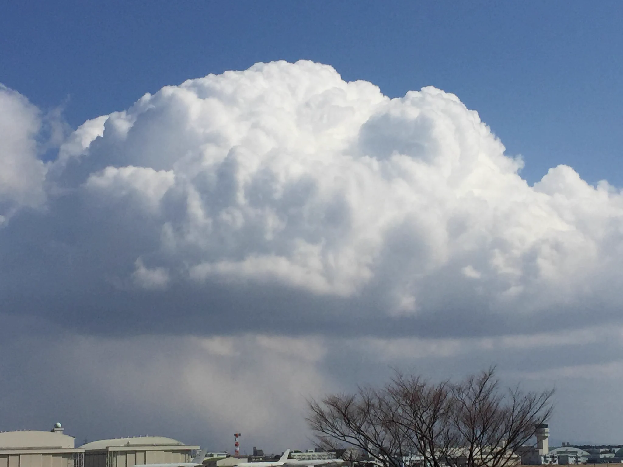 @itexigo15 以前はこんなのも現われた😱
2018.2.17 
#RJNA 