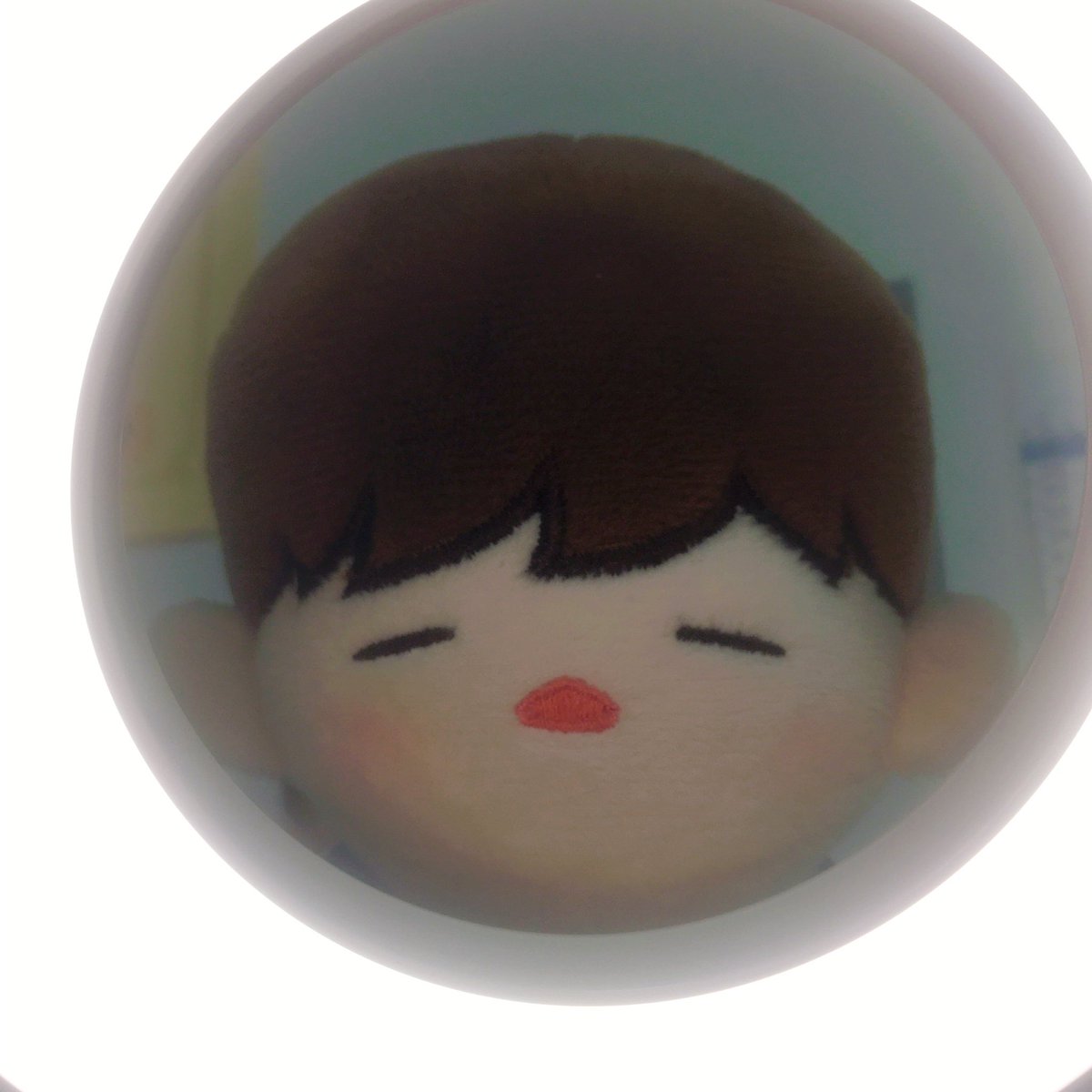 전구속에 비친 뭉이❤️

#짼뭉이 #김재환인형