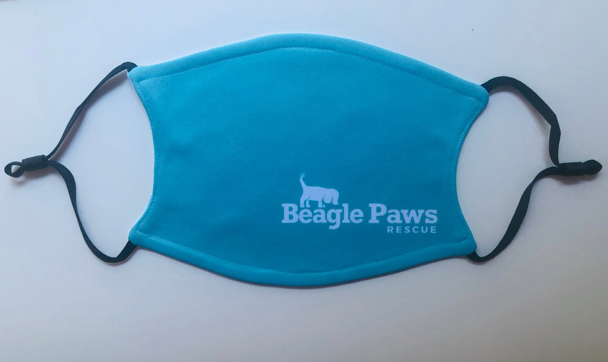 beaglepaws.com/post/beagle-pa…