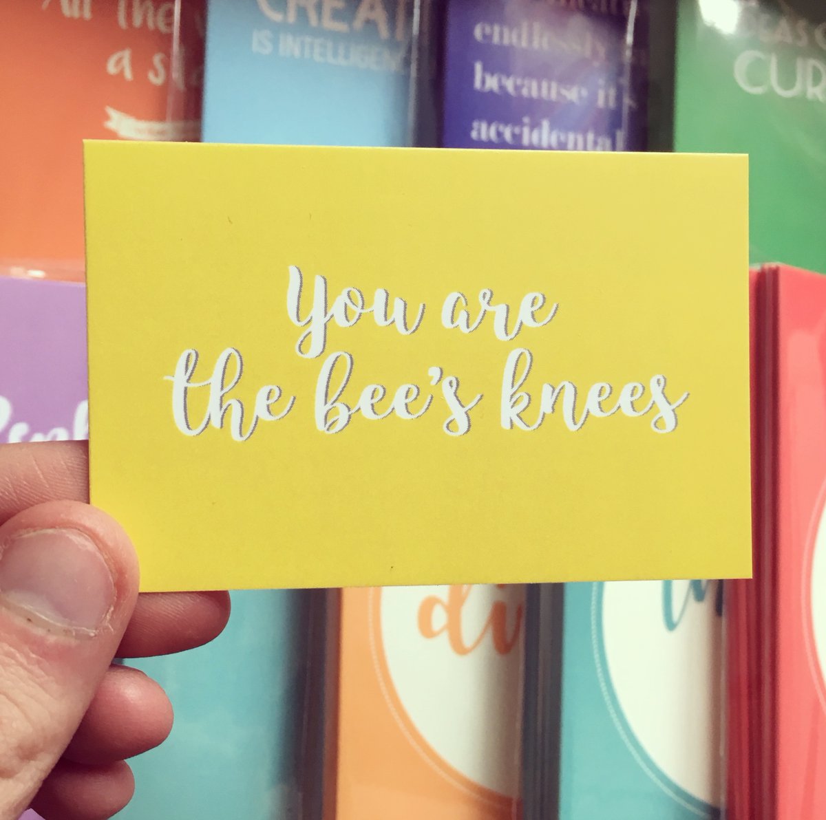 Also, sorry for neglecting you twitter pals… what a year it’s been aye?! How are we all?