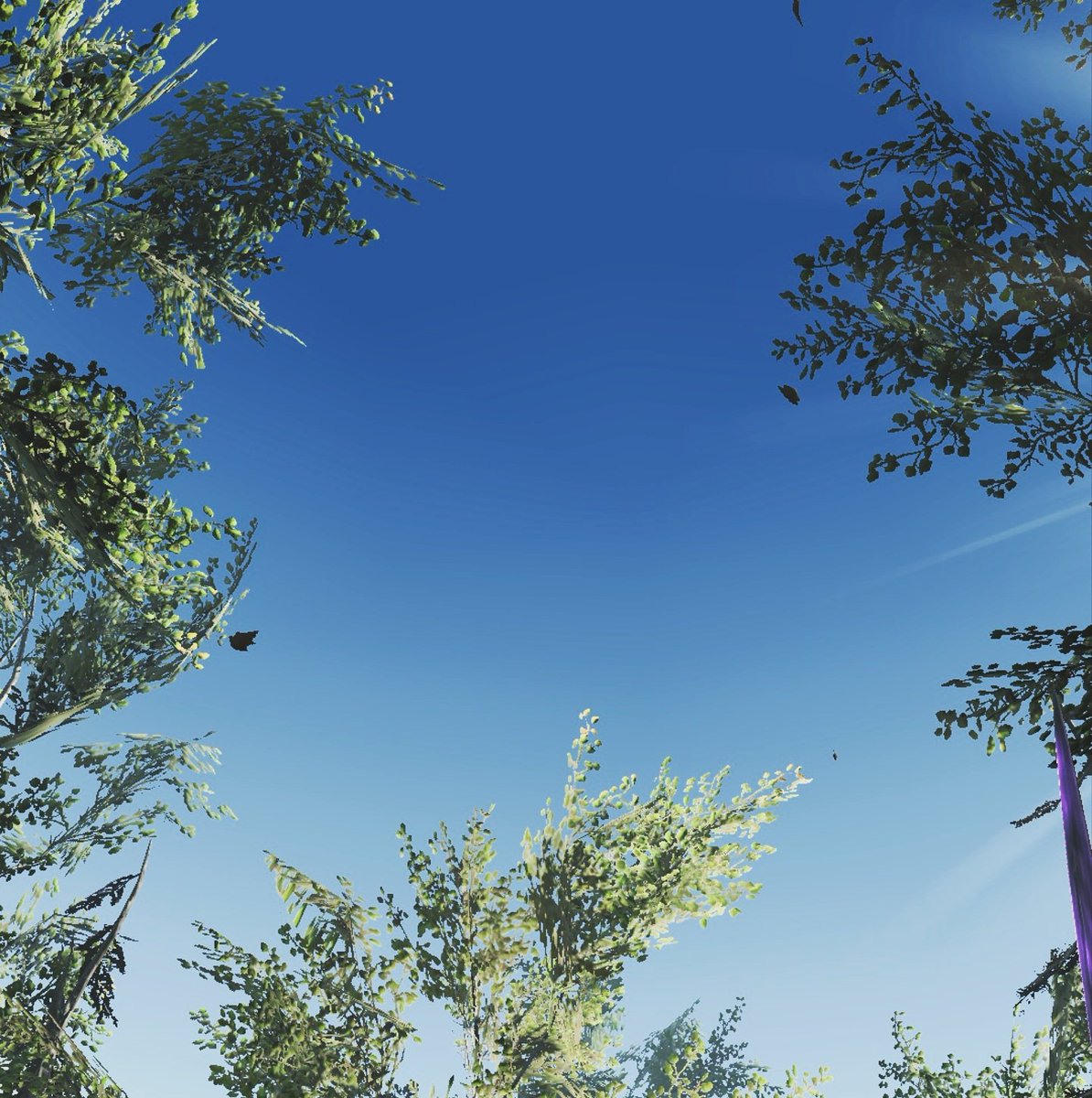 Nature in video games 💚🌾🌿