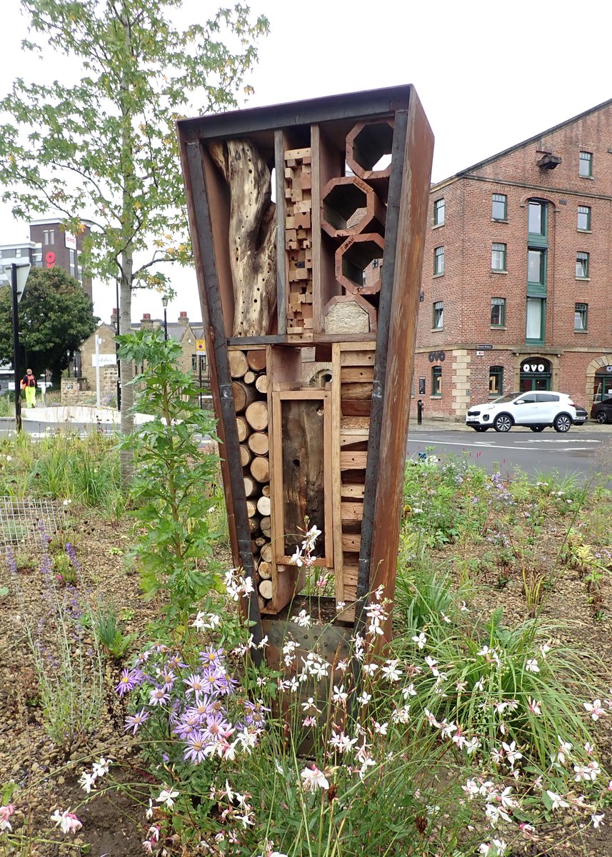 arbarus's tweet image. Grey To Green @SheffCouncil open to the public now! Incl my BioDiversity Boxes (civic bug-hotels?): deadwood, cob, rotten wood, sandy ground &amp;amp; other overwintering &amp;amp;nesting spaces for inverts. If you are local to #Castlegate #Sheffield check out great cycle-paths &amp;amp; planting too!