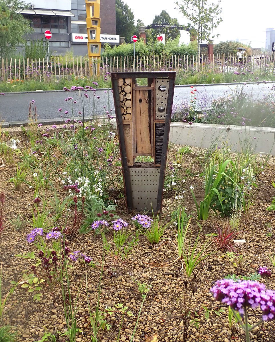 arbarus's tweet image. Grey To Green @SheffCouncil open to the public now! Incl my BioDiversity Boxes (civic bug-hotels?): deadwood, cob, rotten wood, sandy ground &amp;amp; other overwintering &amp;amp;nesting spaces for inverts. If you are local to #Castlegate #Sheffield check out great cycle-paths &amp;amp; planting too!