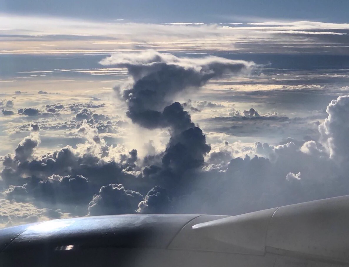 @itexigo15 琉神もぜひ 