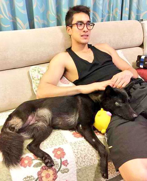 Meet Yenyen, Nadech's three legged rescue dog  She's his baby princess!Watch this video as he talked about how he got her and decided to make her his  (plus a lil NY fin from this vid too haha) #ณเดชน์  #nadech  #kugimiyas