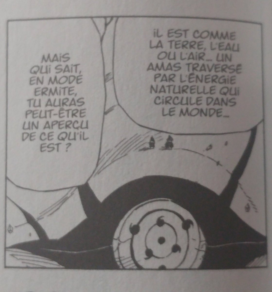 D'ailleurs l'explication fourni par Kurama sur l'existence de Jûbi rappelle celle fourni par Miyako.