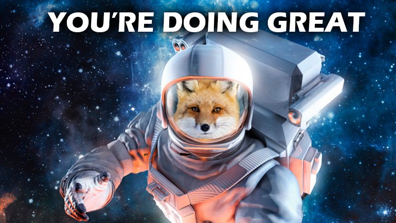 A fox in a space helmet floating in outer space. They're saying, "you're doing great"