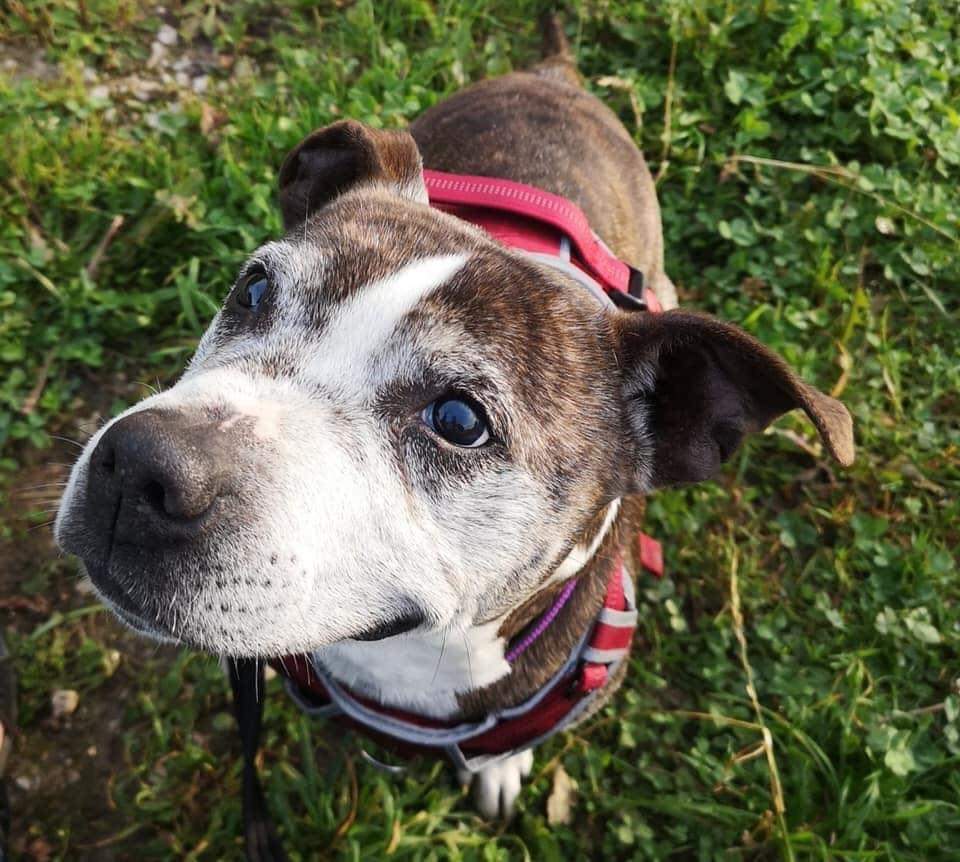 SeniorStaffy tweet picture