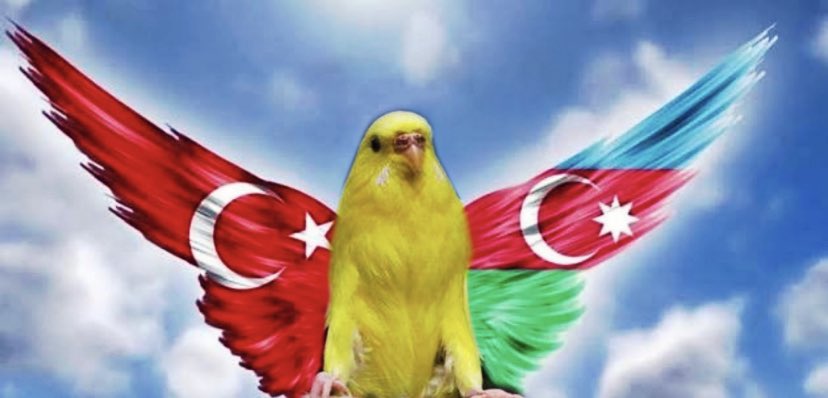 lemonbirdlime tweet media