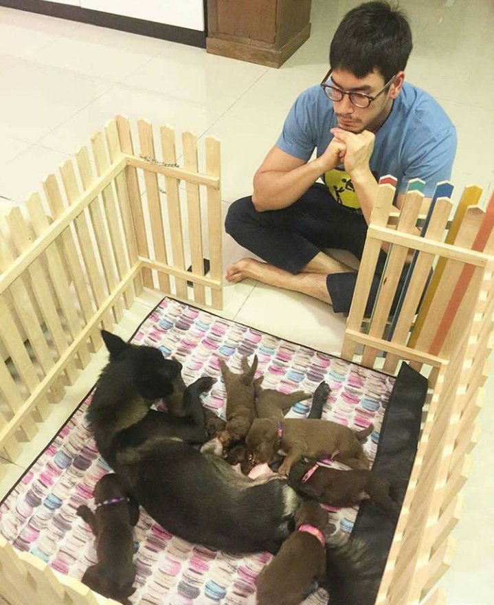 Btw, did you know that Yenyen had a boyfriend and got pregnant. Nadech sulked for two weeks because he didn't know she had a bf and suddenly she was preggers He got over it tho and loved her puppies too! #ณเดชน์  #nadech  #kugimiyas