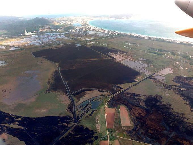 Fins a 438 hectàrees cremades i gairebé totes dins el Parc Natural de s'Albufera. Un impacte que podría afavorir un greu problema: la salinització. Per frenar-ho cal coratge polític i recursos de tots, sobretot dels qui més en tenen. Som-hi. Foto: CMA.