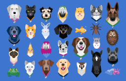 CSHS_BMS's tweet photo. What the heck is a Padlet of Pets? BSc Biomedical Science students @CardiffMet, check your Programme Moodle module asap and find out! #AwCute #ShowUsYourPets https://t.co/G9SoL8ob5k