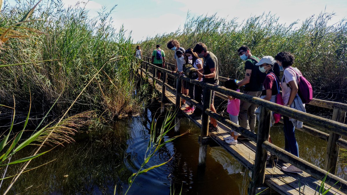 lorenaescandell's tweet photo. Vincular-nos amb el #territori i habitar-lo amb consciència, #memòria, marc local-global, i estima.
Projecte #GePesAng amb @asociacionanse i @GVAparcs
al #PNElFondo #PNElHondo pel #DiaMundialDelTurisme. https://t.co/SUiheMIsru