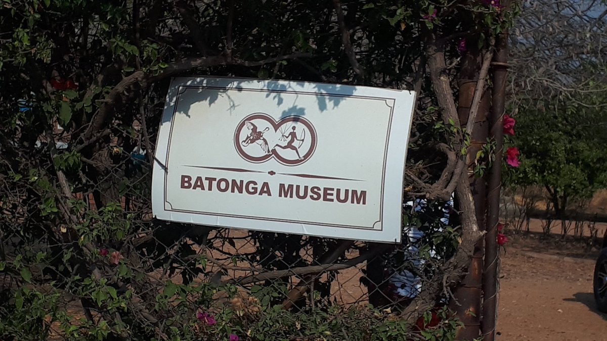 EXCURSIONS Plenty to do in Binga. Crocodile farm. Tonga Museum. Binga Crafts Centre. Binga sand beach. Boat Cruise. Awesome culinary experience too. Enjoyed crocodile meat.