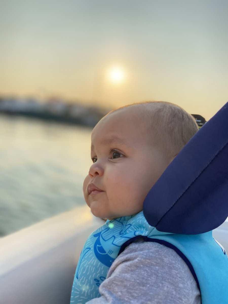 Jacquelyn Carter tweet media