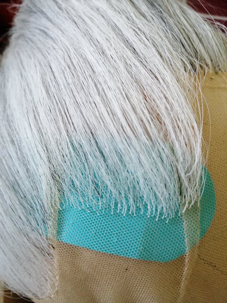 WillVenus_'s tweet image. A Sunday doing what I do best - #wigmaking! #fulllacewig #ArtistOnTwitter