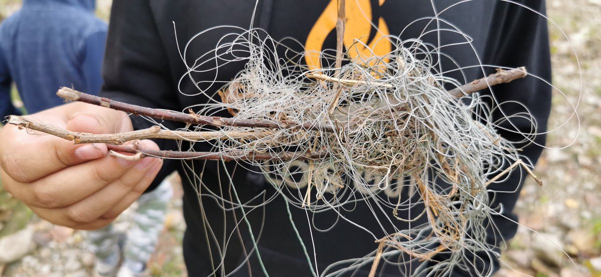 HuberRob's tweet image. The motherlode of fishing line #antlerriverrace @H2OAlliance
