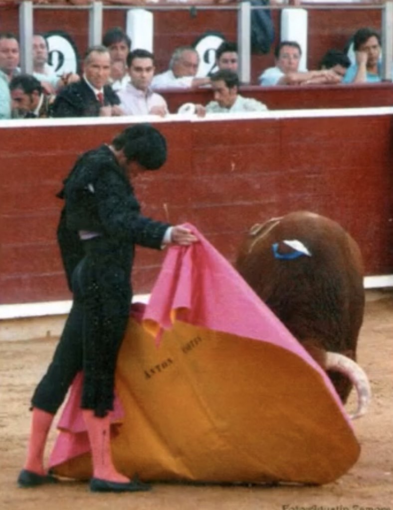 Acariciando embestidas!!