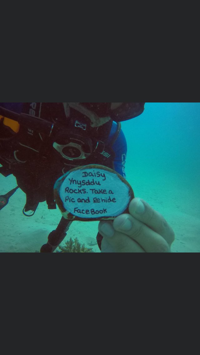 found this on the Red Sea  ,,Marsa Allam <a href="/RedSeaVentures/">Red Sea Ventures</a> <a href="/RedSeaFisher/">“rabid diaspora agitator”</a> <a href="/marsaalam/">Marsa Alam</a> <a href="/MarsaAlamResort/">MarsaAlam Collection</a> 💞💞