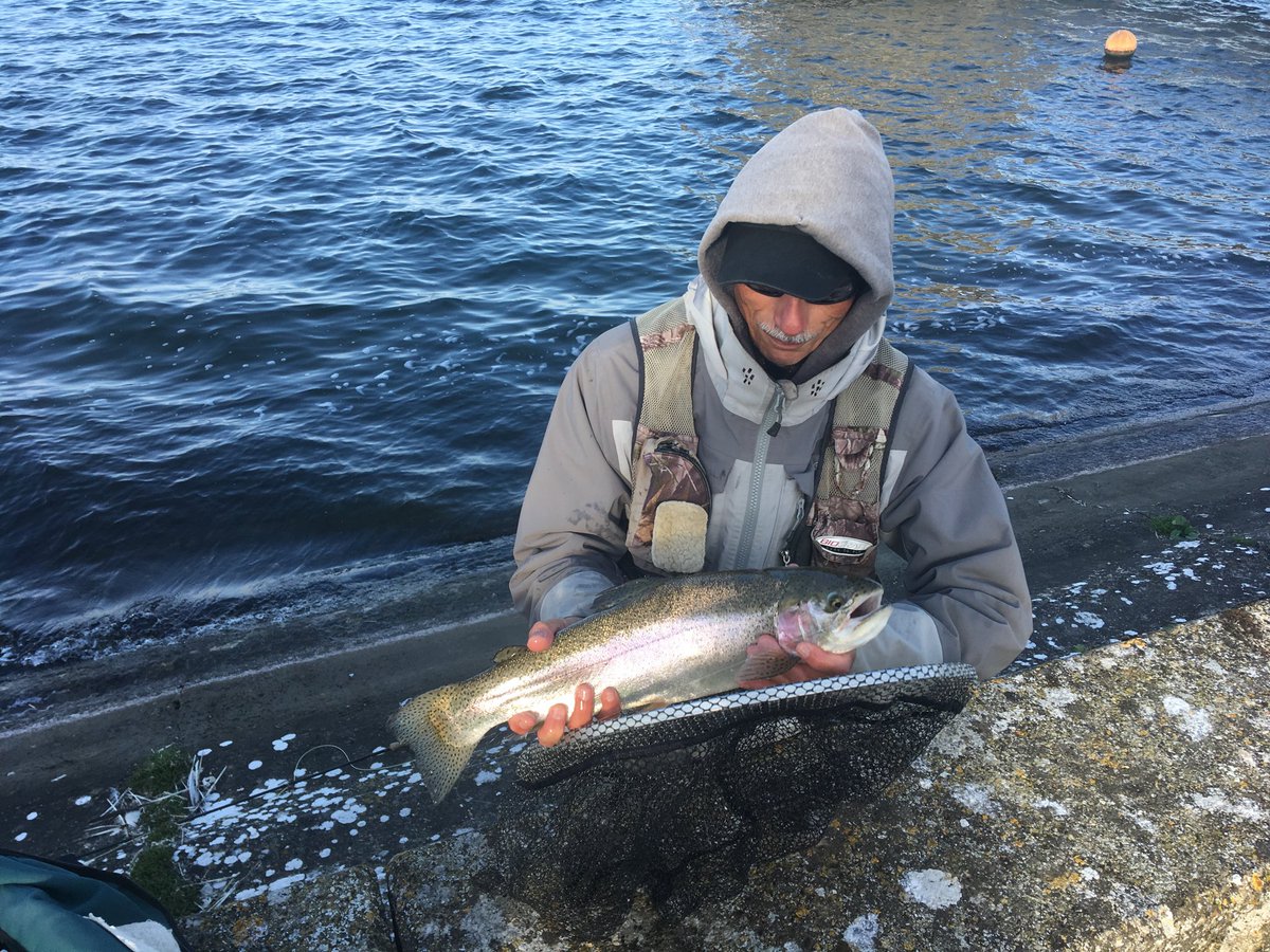Andy Lush with 4 lb + RB caught on a hopper from F1