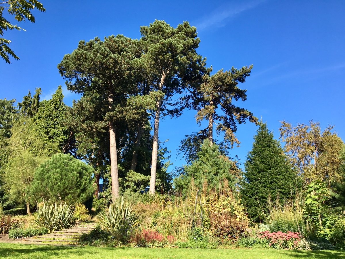 Enjoying glorious weather <a href="/BhamBotanicalGd/">Birmingham Botanical Gardens UK</a> Beautiful autumnal borders beneath majestic towering trees