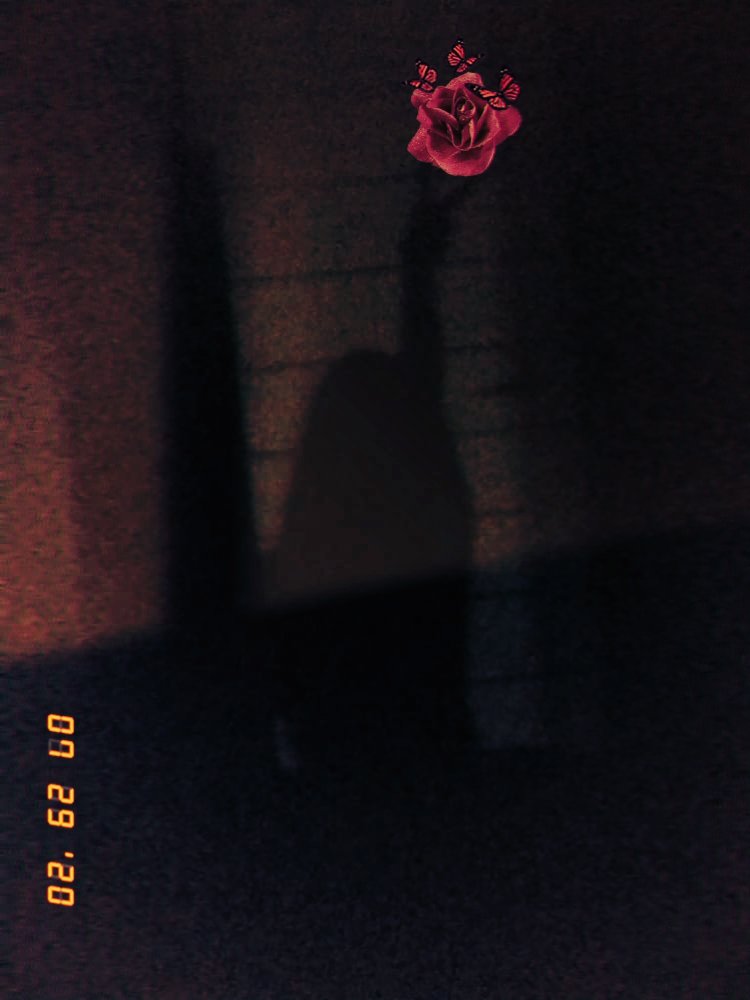 belle_2907 (@bellevuecabelle) / Posts / X