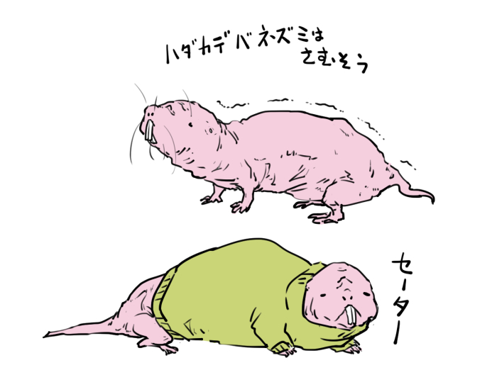 一気に肌寒くなったので、着るものに困る…(過去絵) 