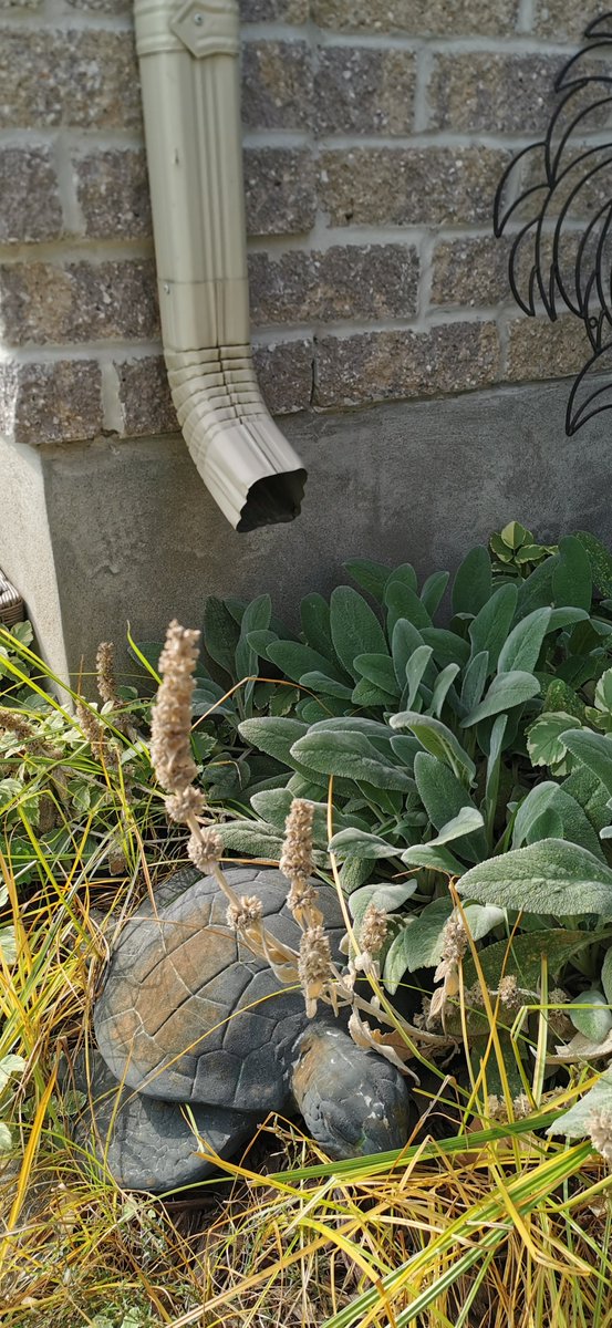 HuberRob's tweet image. Where the water goes from downspouts to sewers &amp;amp; ponds. #antlerriverrace @H2OAlliance