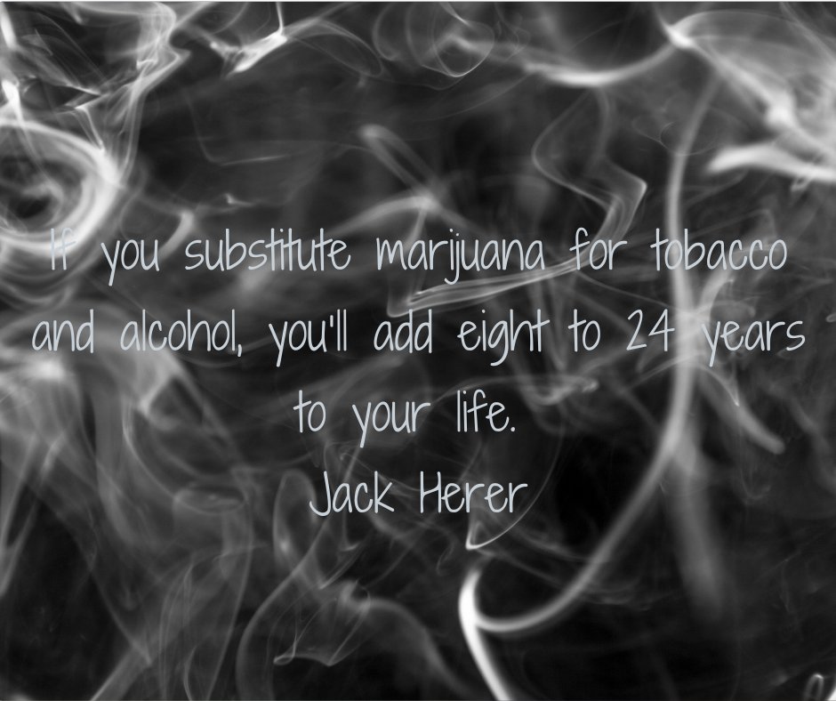 PotLife2's tweet image. To your health...#cannabisculture #cannabis #culture #yolo #hipster #smoke #shop #revolution #life #green #smokeshop #potlife #lifeculture #teamtime #vegetation #terrestrialplant #grassfamily #botany #grassy