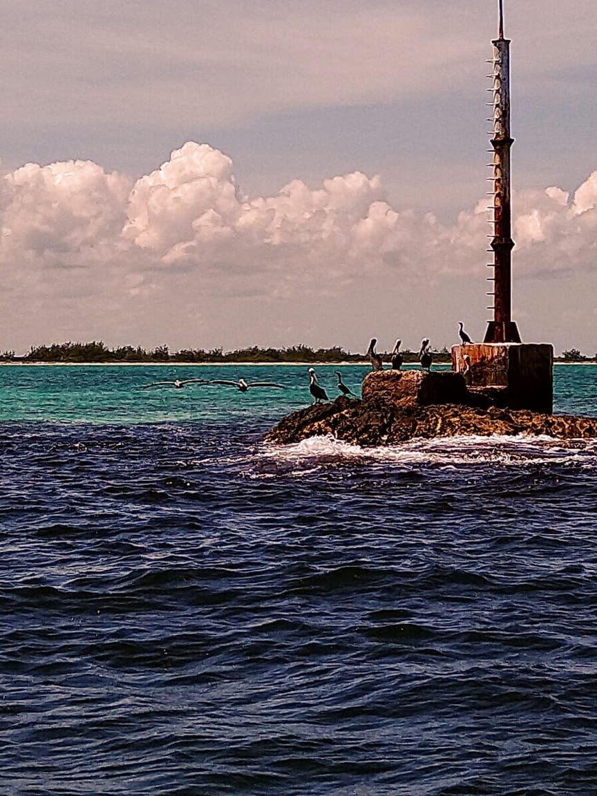 ClassNaviera's tweet image. 