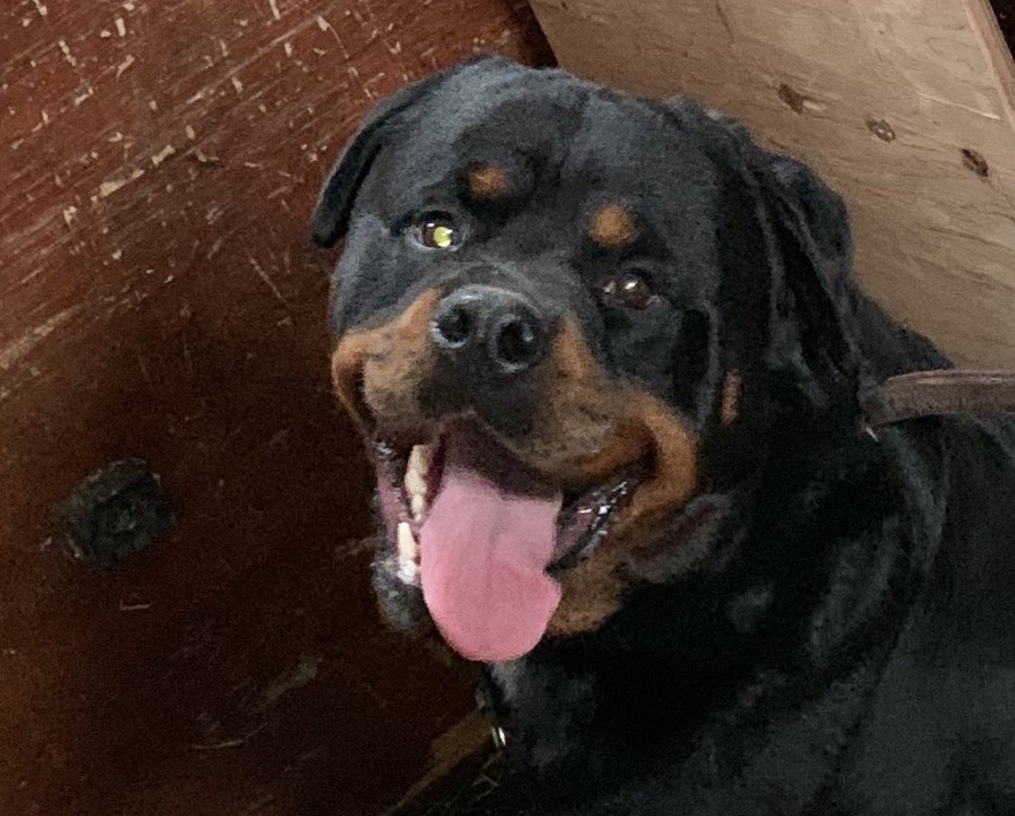 Should I be worried about the right eye?🤔