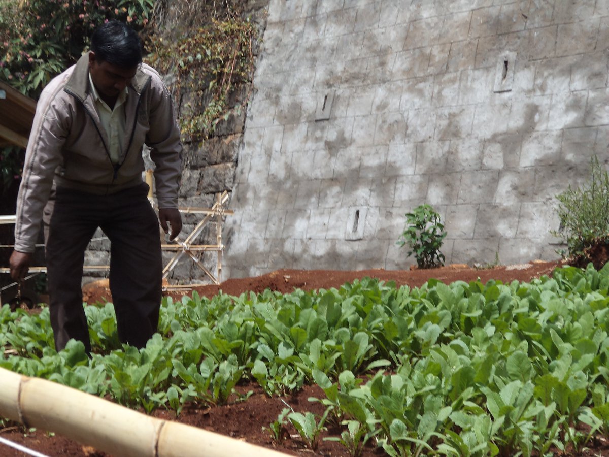 The Friends of H.O.P.E tweet media