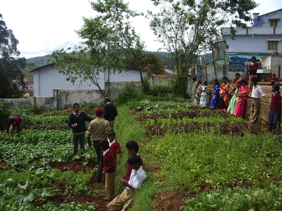 The Friends of H.O.P.E tweet media